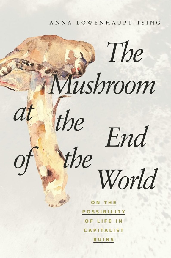 Cover of The Mushroom at the End of the World