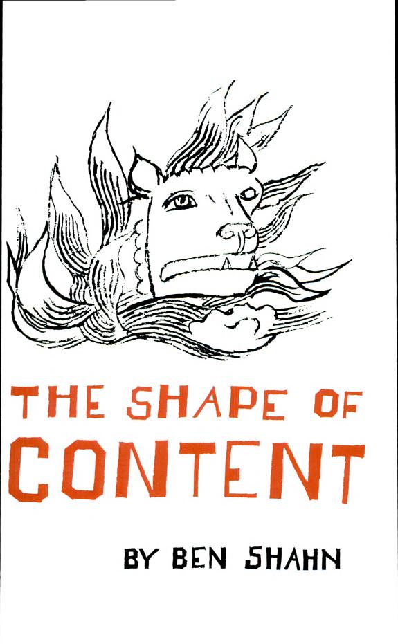 Cover of The Shape of Content