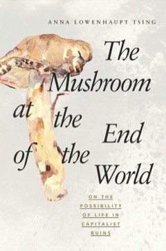 Cover of The Mushroom at the End of the World